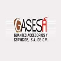 Gasesa