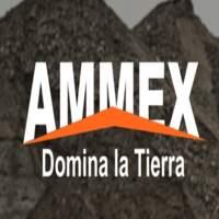 Ammex LG
