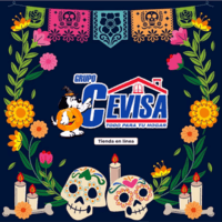 Grupo Cevisa
