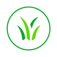 EAZY GREEN TURF S.A DE C.V.