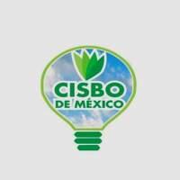 Cisbo Mx