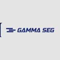 GAMMA SEG
