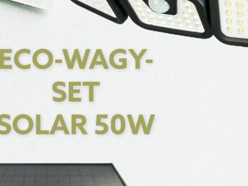 Panel solar ECO-WAGY-SET 50W negro México