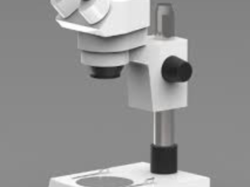 Microscopios estereoscopios