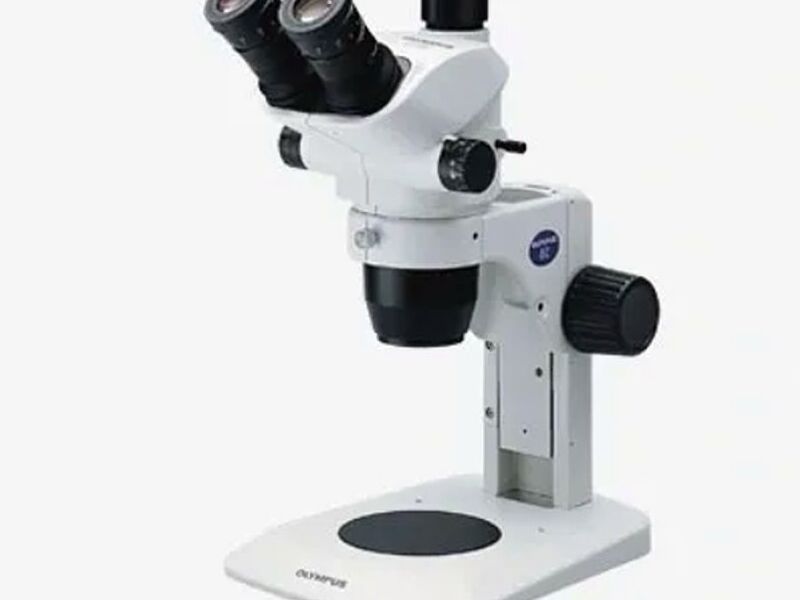 Microscopio estereoscópico México